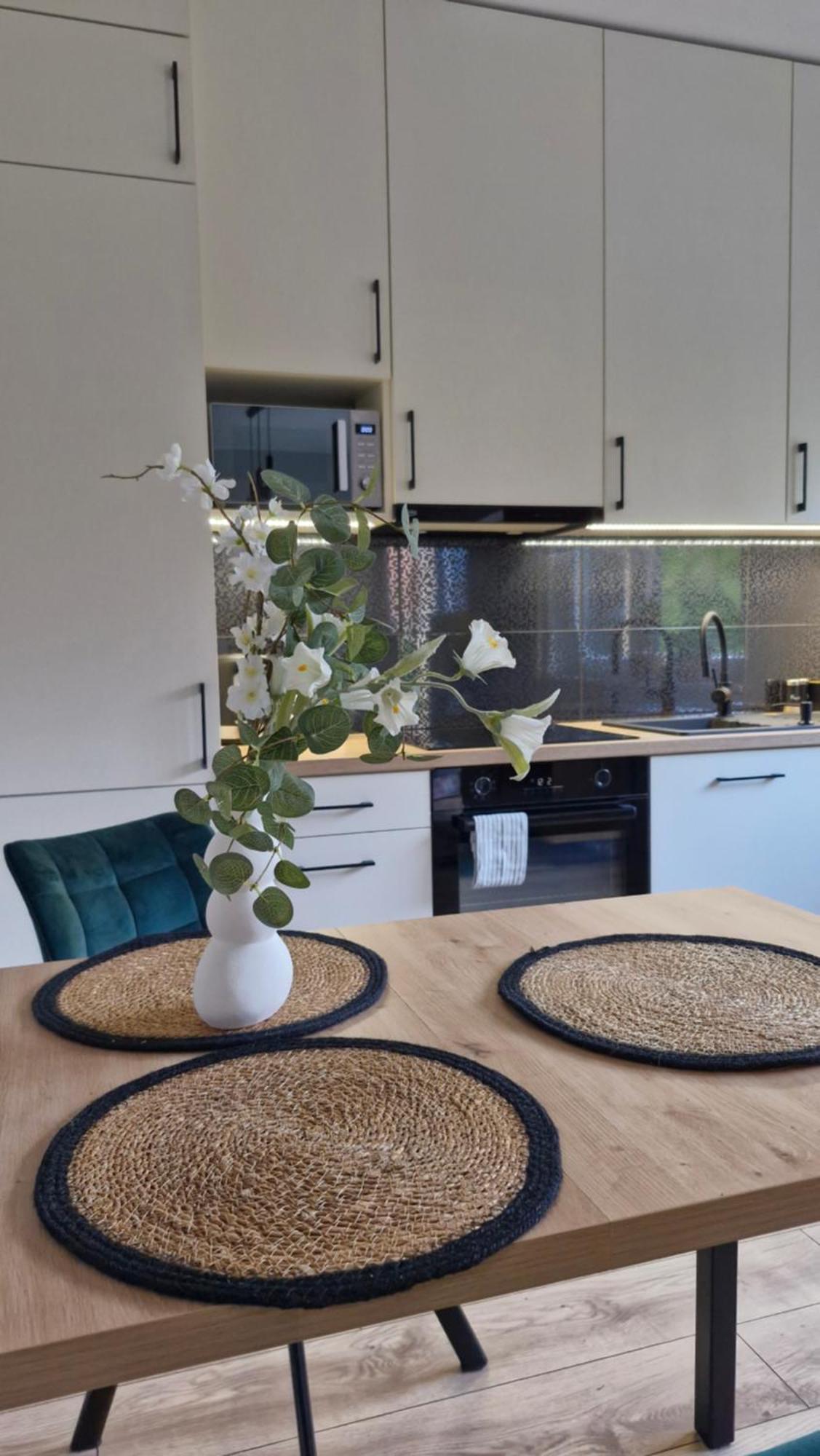 Apartment Elite 1 Jezyce- Baranczaka 1