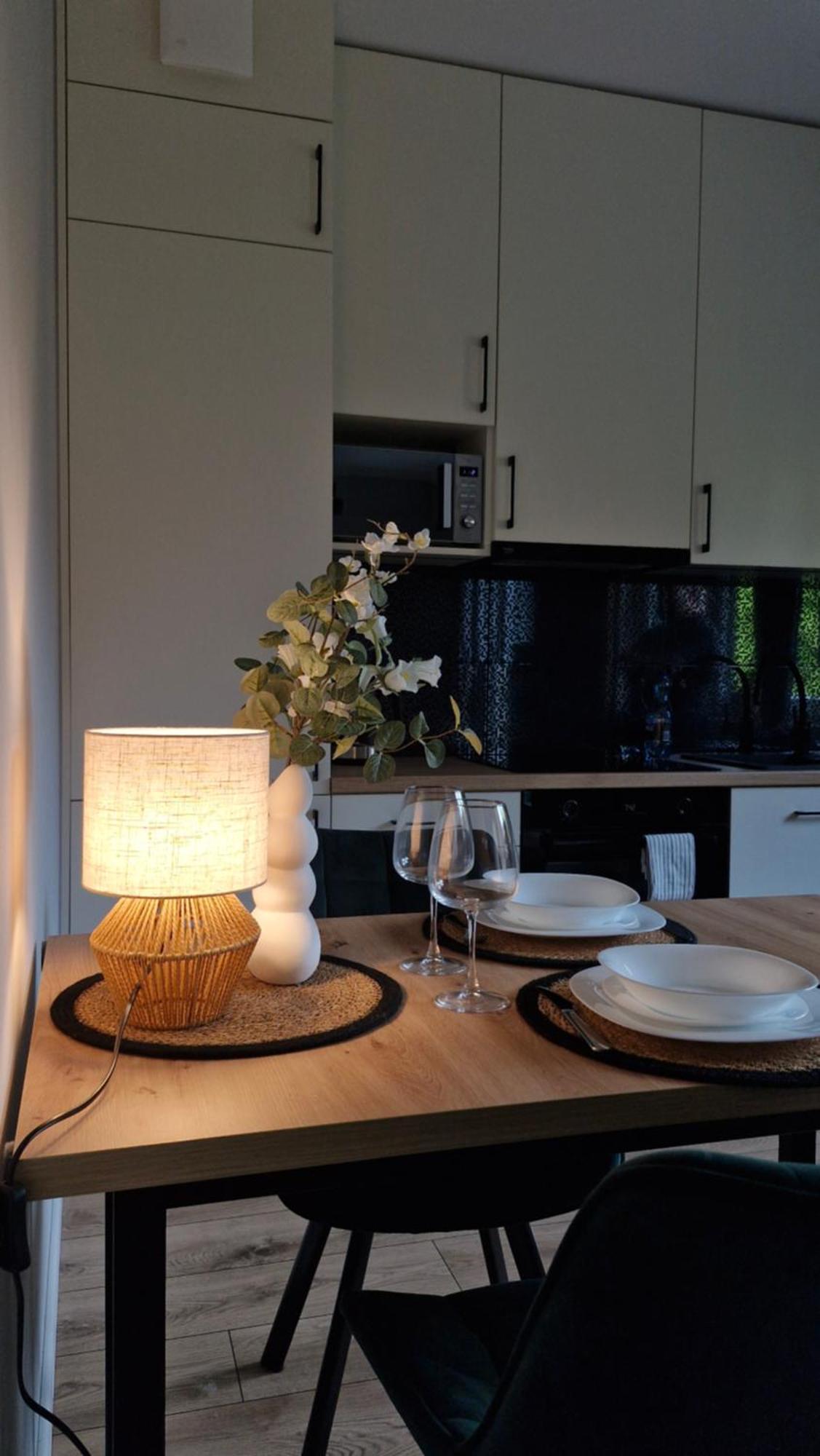 Apartment Elite 1 Jezyce- Baranczaka 1