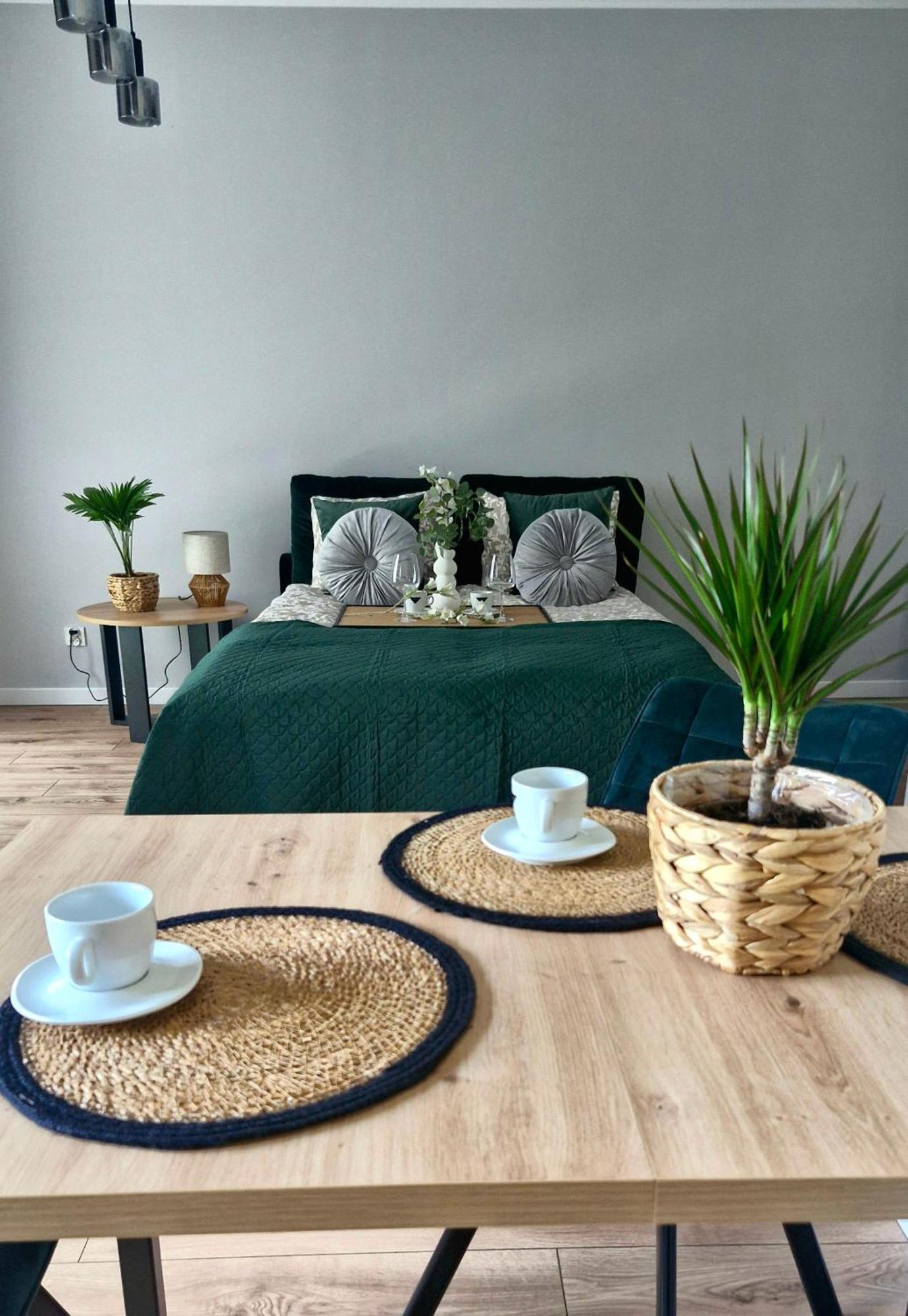 Apartment Elite 1 Jezyce- Baranczaka 1 Poznan
